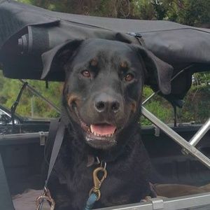 Meet your Posher, Adam